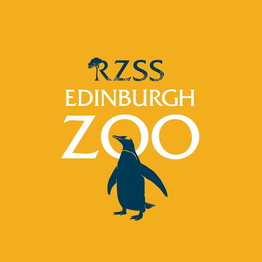 Edinburgh Zoo YouTube