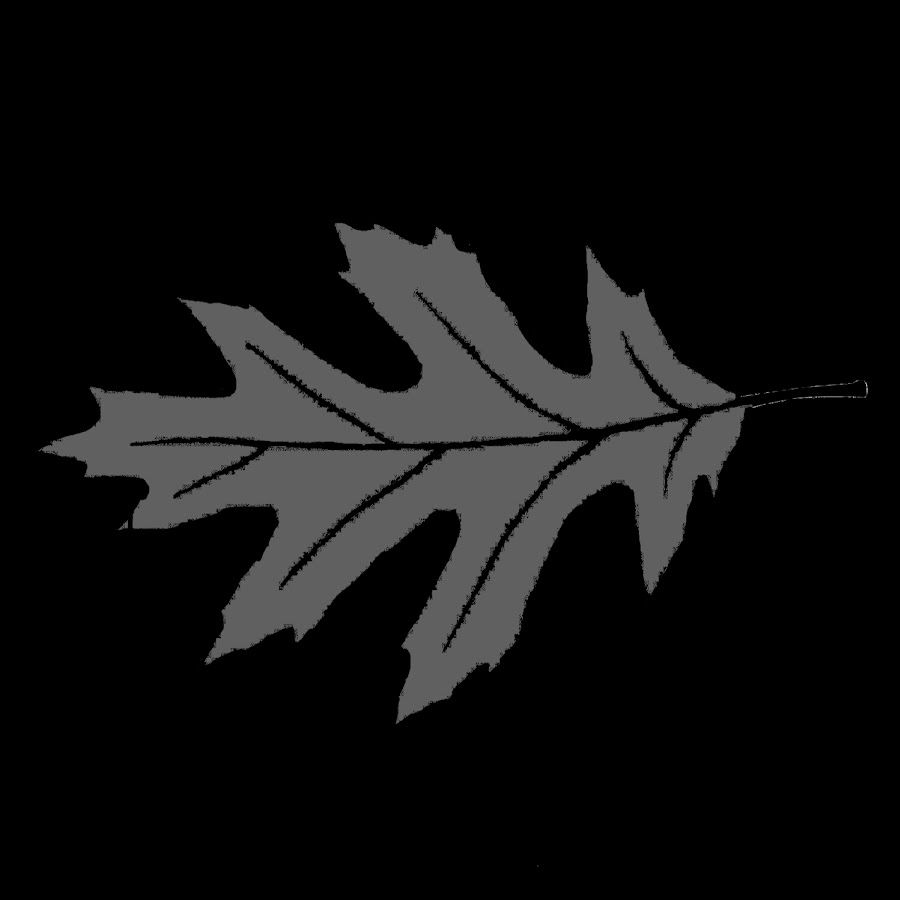 Silver Leaf - YouTube