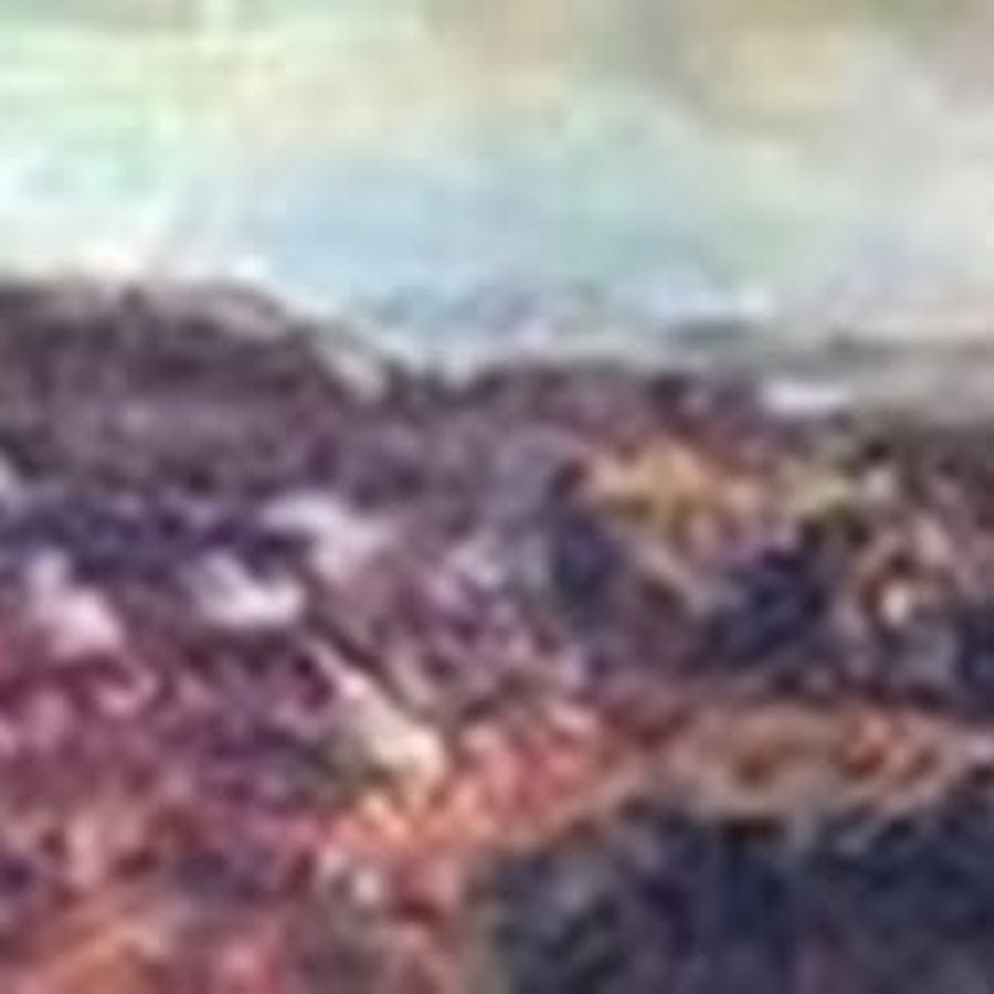 Битва при ватерлоо итоги. Битва при ватерлоо участники. ватерлоо битва карта. битва при ватерлоо презентация по истории. битва при ватерлоо причины.