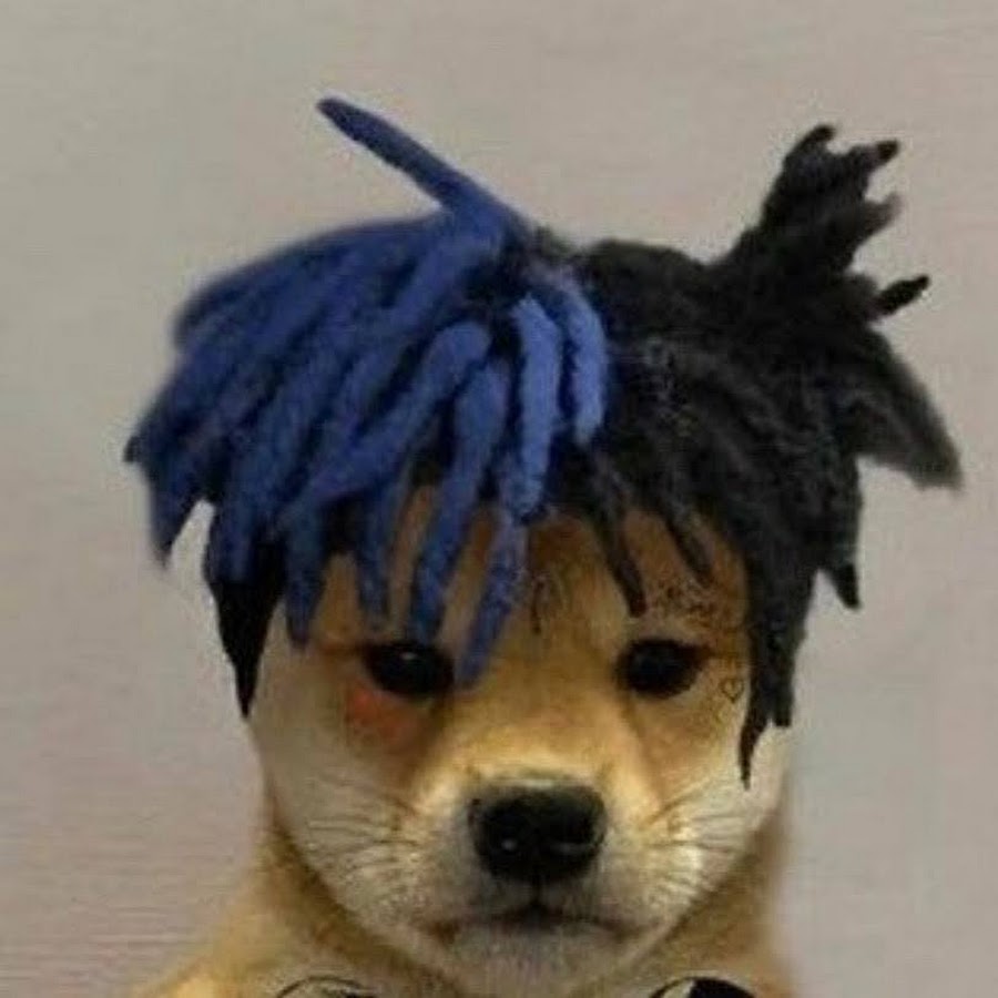 Anglo FISH - YouTube