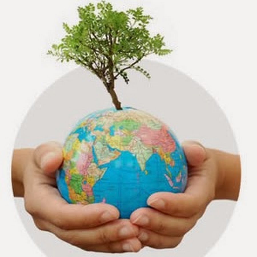 Planting Peace YouTube