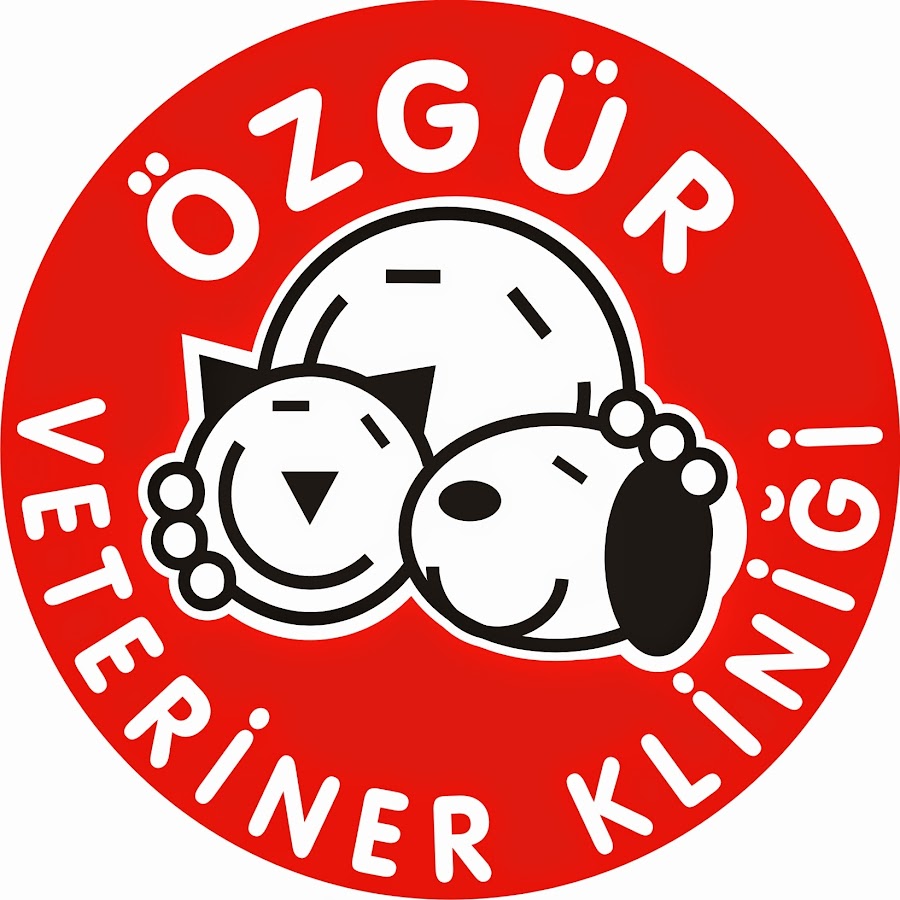 Ozgur Ates YouTube