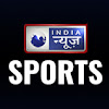 What could India News Sports buy with $386.3 thousand?