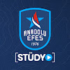 What could Anadolu Efes Spor Kulübü buy with $150.5 thousand?