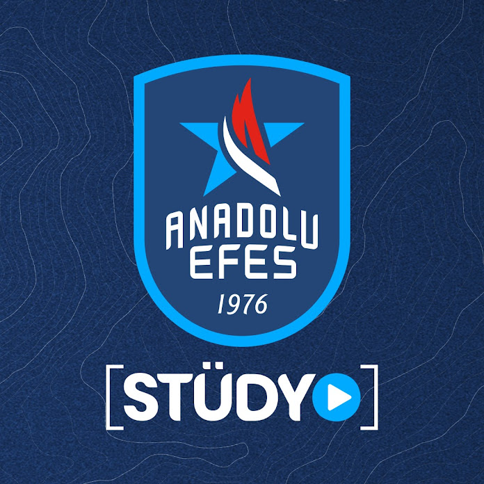Anadolu Efes Spor Kulübü Net Worth & Earnings (2024)