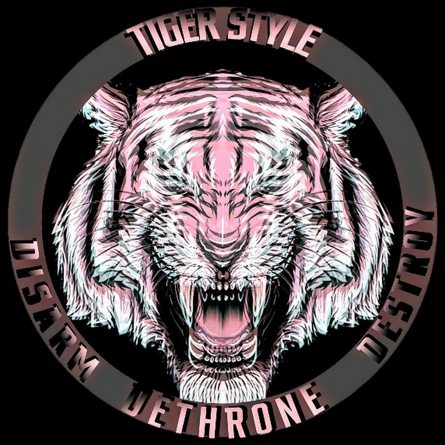 Tiger Style YouTube