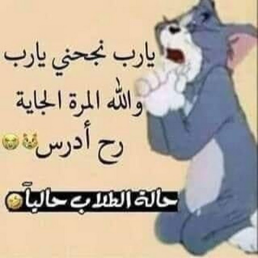 Картинки с арабскими надписями мем