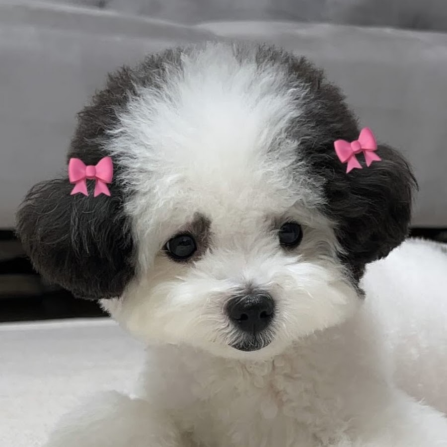 프롬라떼 From Latte - YouTube