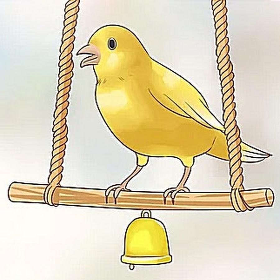 Как нарисовать канарейку