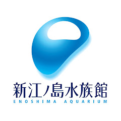 新江ノ島水族館公式チャンネル