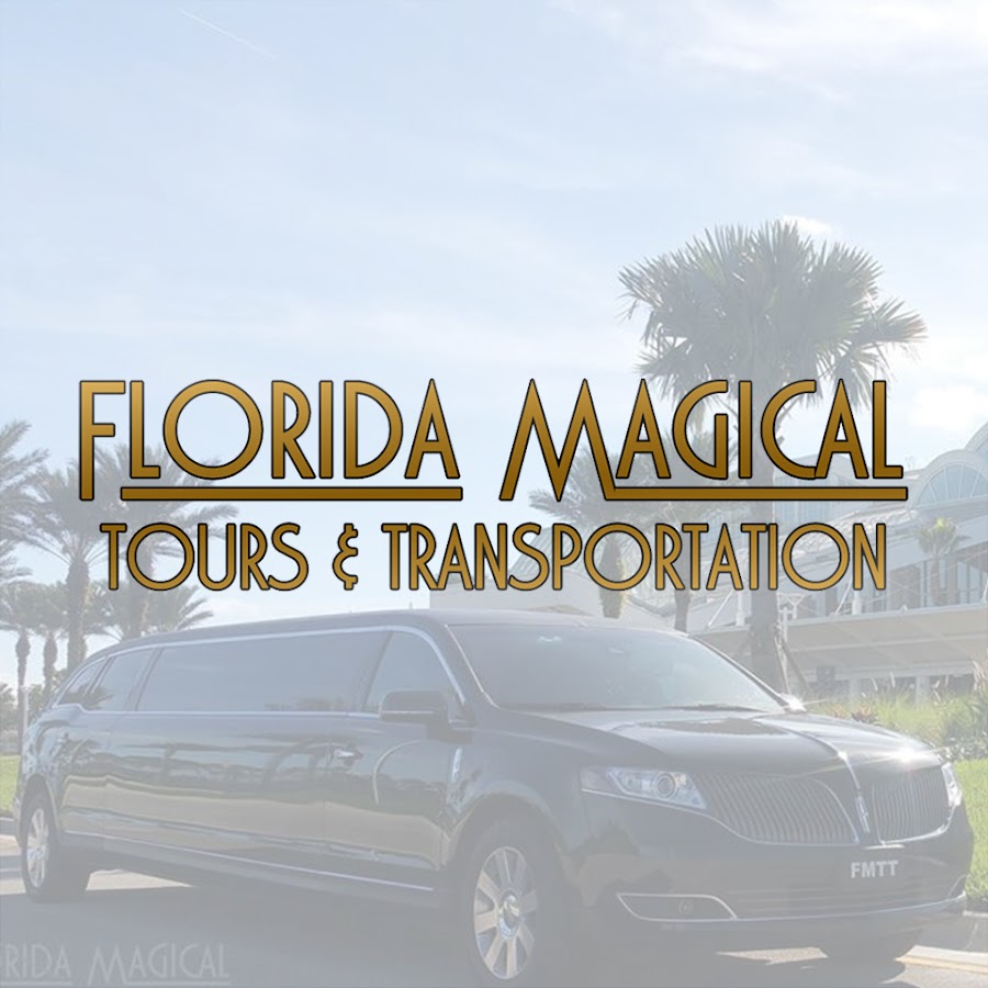 florida magical tours travel agent