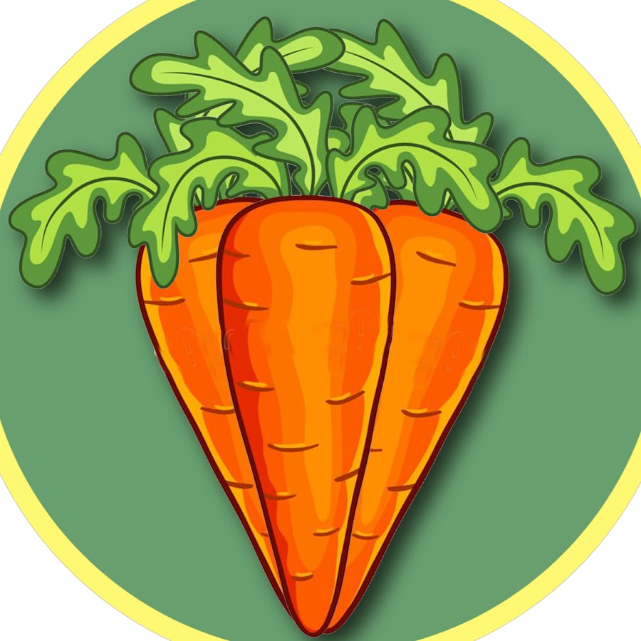 2 3 морковки. Морковь для детей в детском саду. Морковка на белом фоне. Морковь для дошкольников. Двойная морковь.