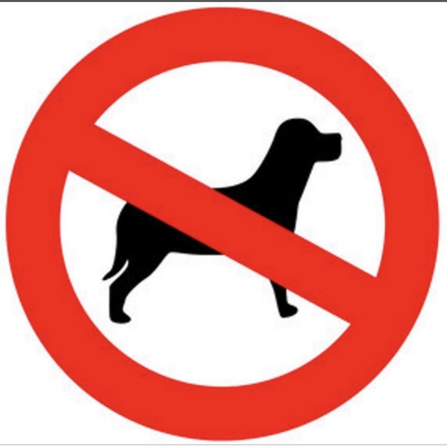 Allow images. Знак с собаками запрещено. Табличка с собакой запрещено. Значок запрет животных. С собакой вход воспрещен знак.