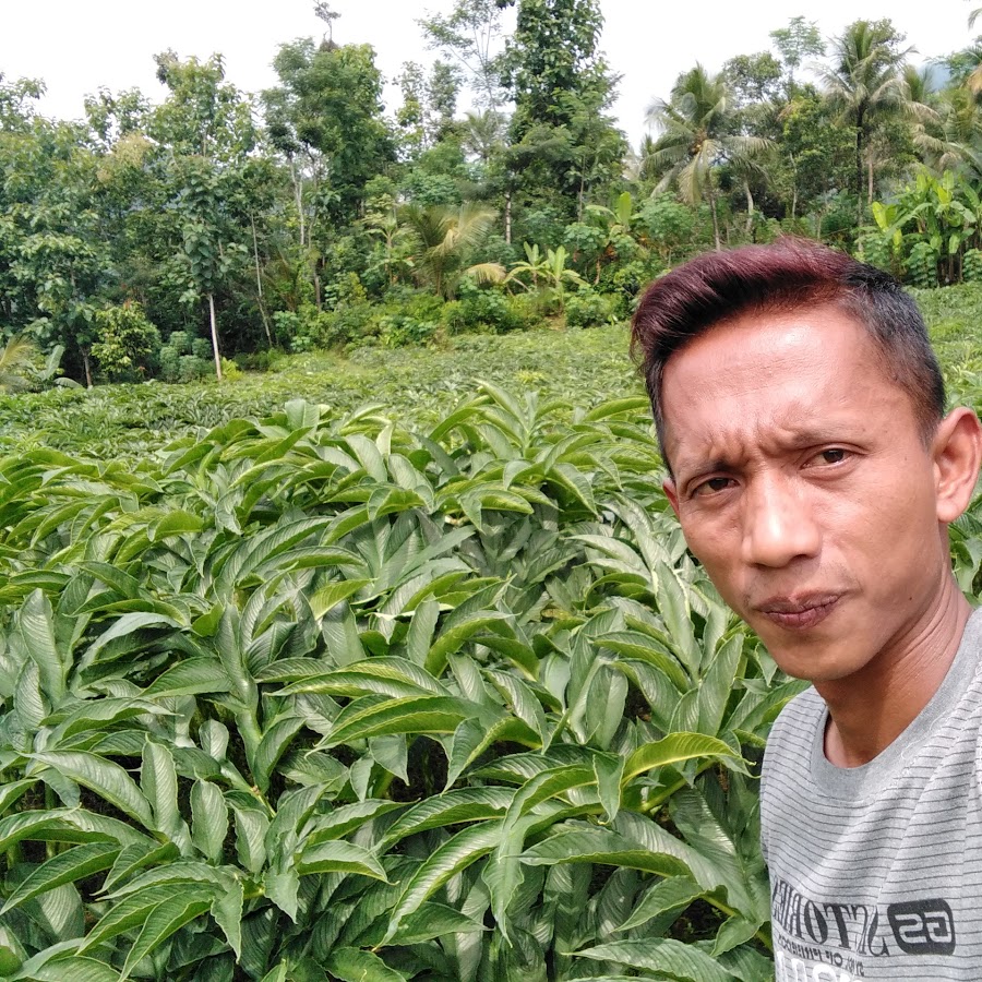 Alfin prasetia YouTube Alfin prasetia YouTube
