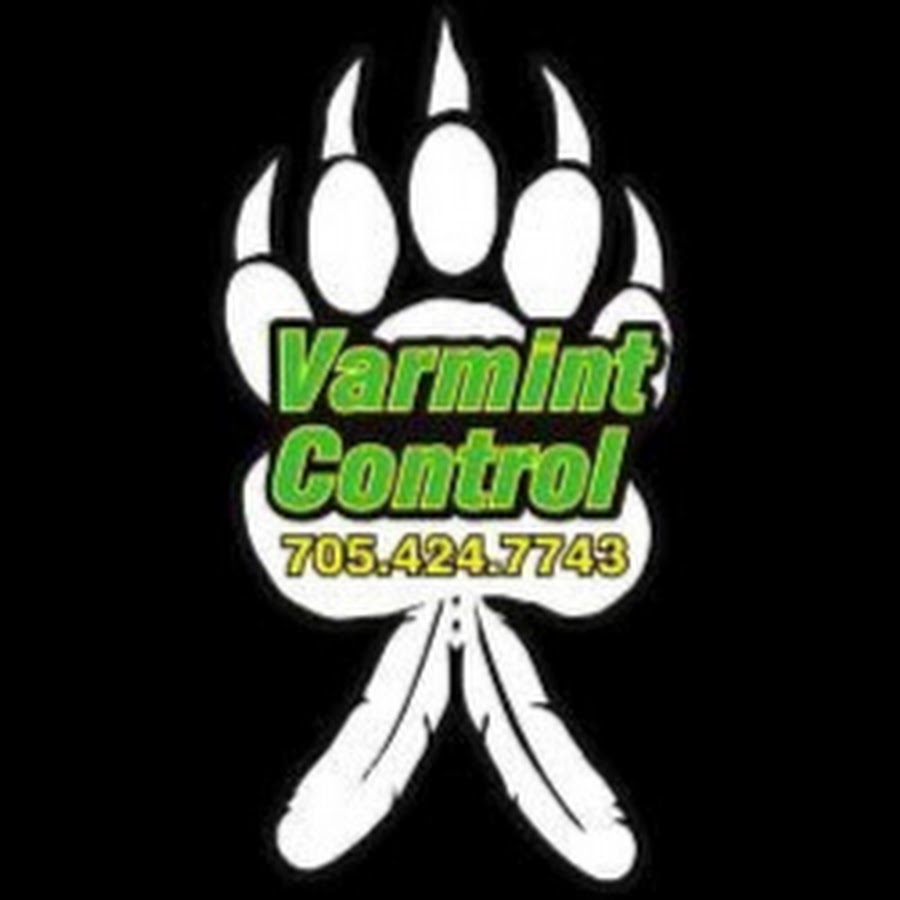 Varmint Control Barrie YouTube