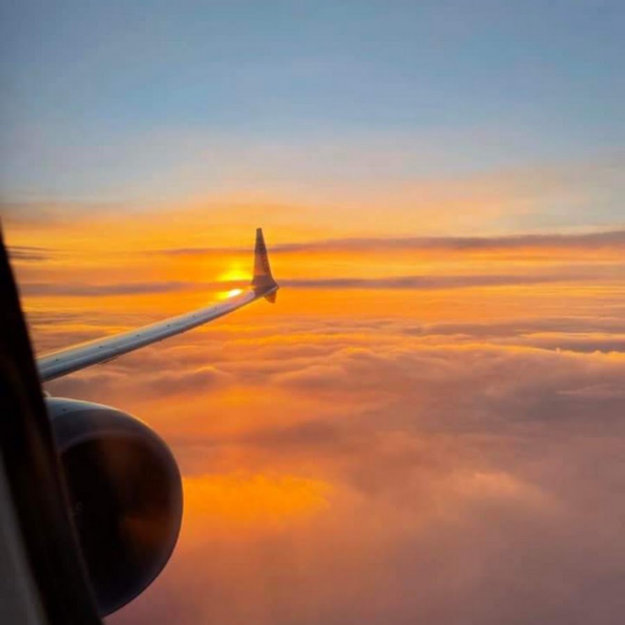 Flower Power - YouTube