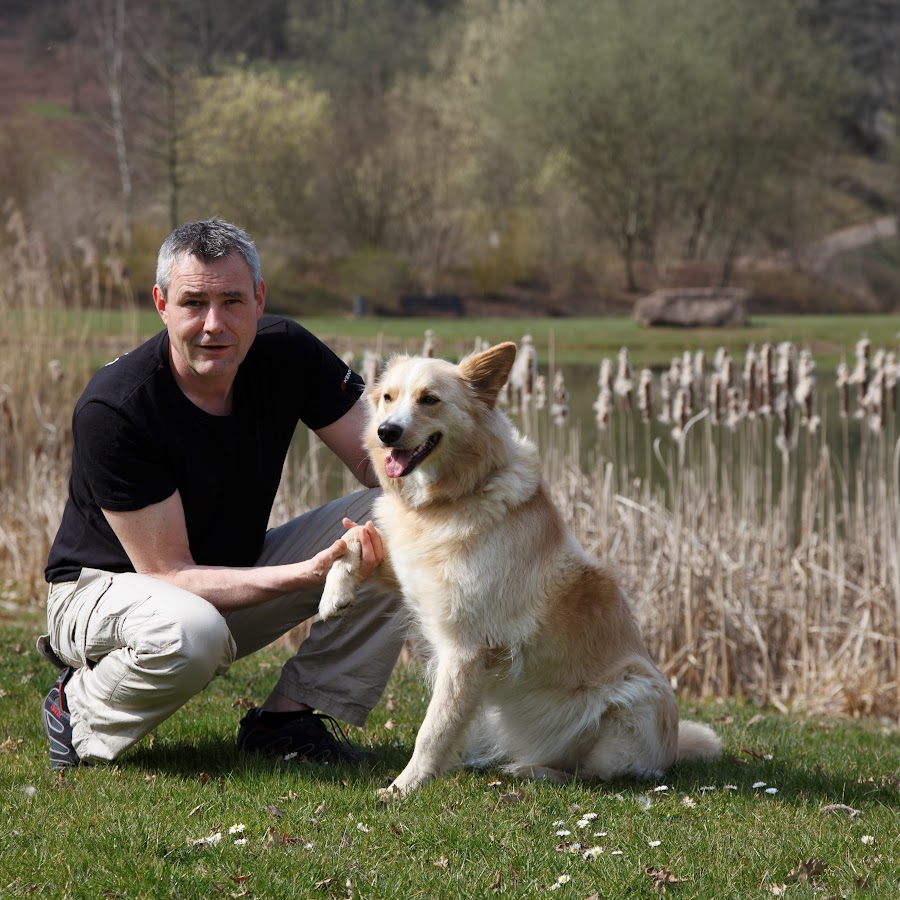Hunde Orthopädie Uneingeschränkt toben können AniCura Deutschland