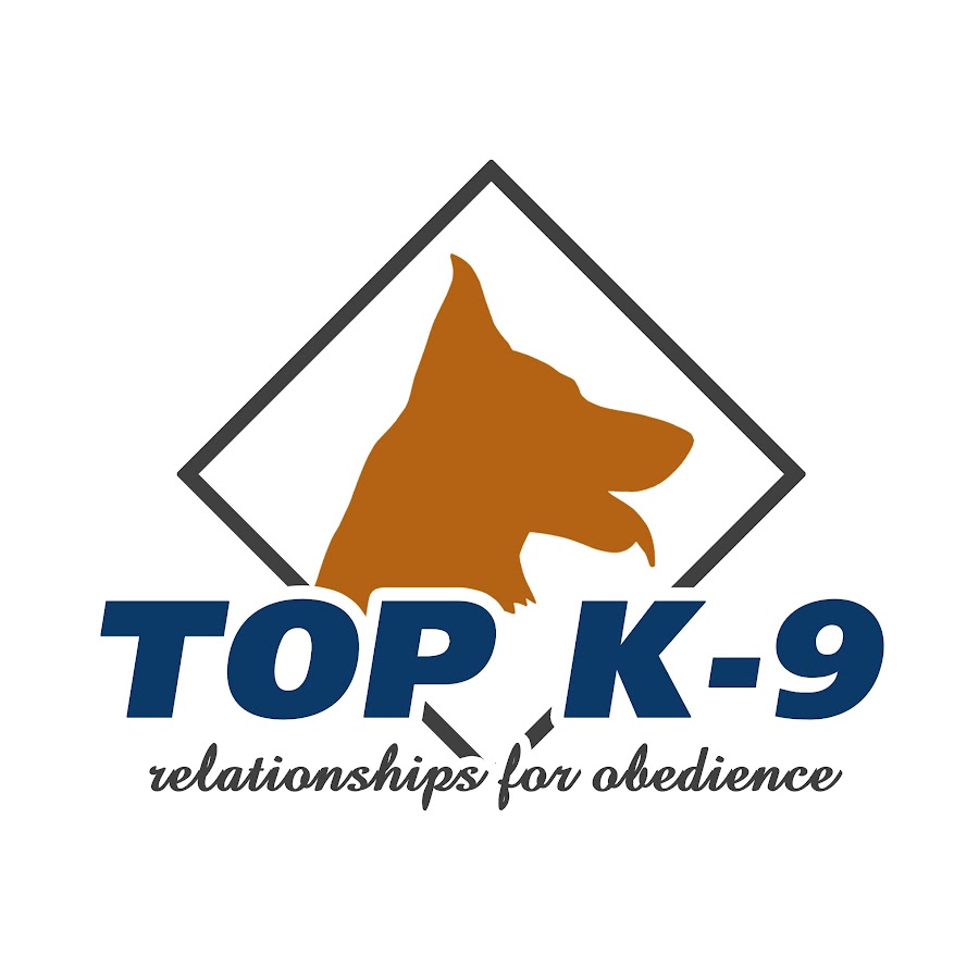 TOP K9 dog training YouTube