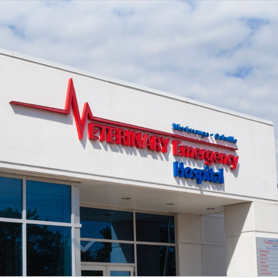 Mississauga Oakville Veterinary Emergency Hospital YouTube