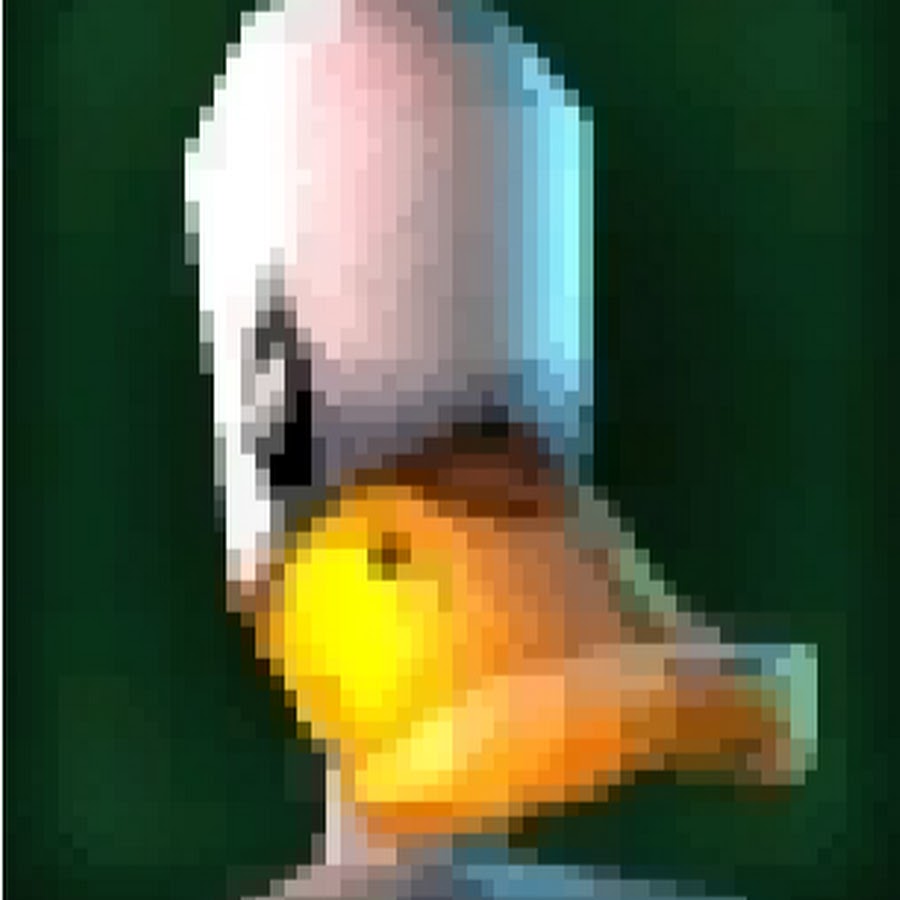 Duckman Drake - YouTube