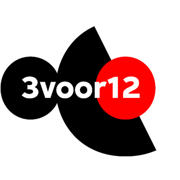 3voor12 Net Worth & Earnings (2024)