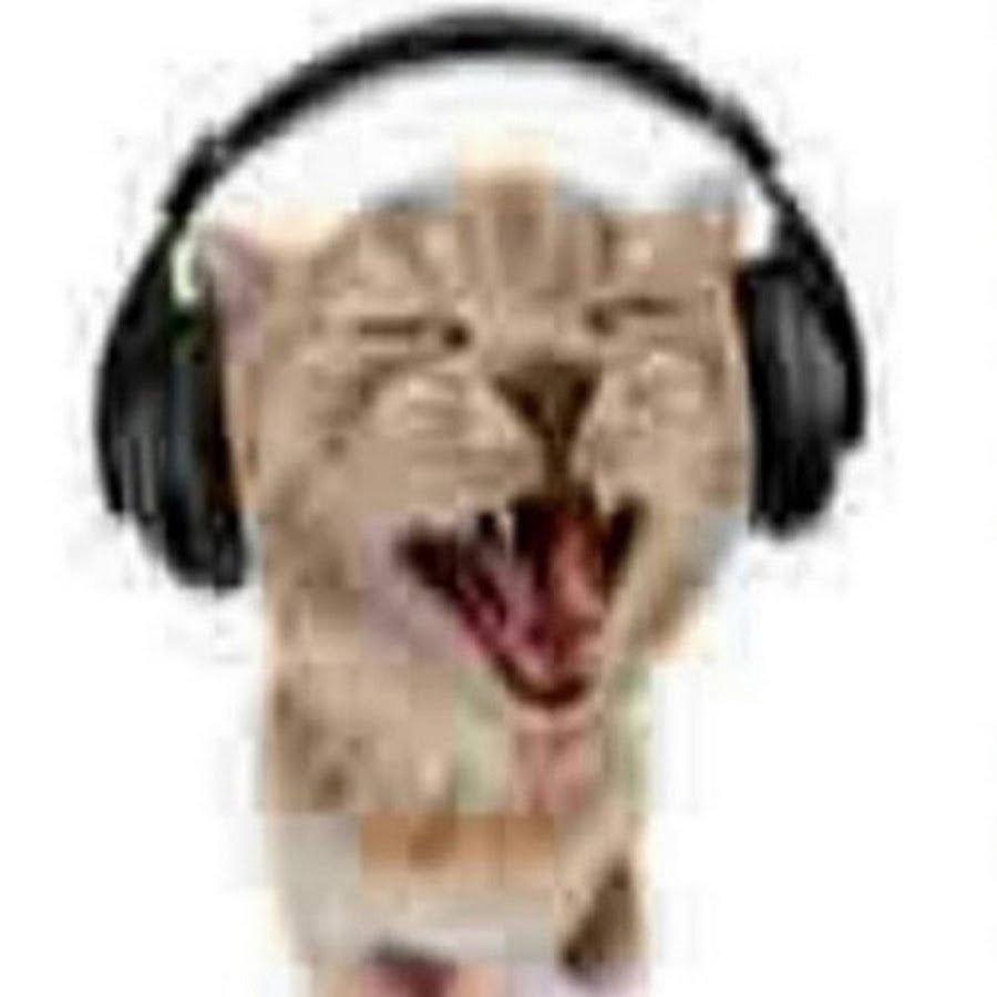 AATXAJzXtEIiNzL7w8-JHe59P9_KZD3Fj44HgwRHr0Y7wQ=s900-c-k-c0xffffffff-no-rj-mo