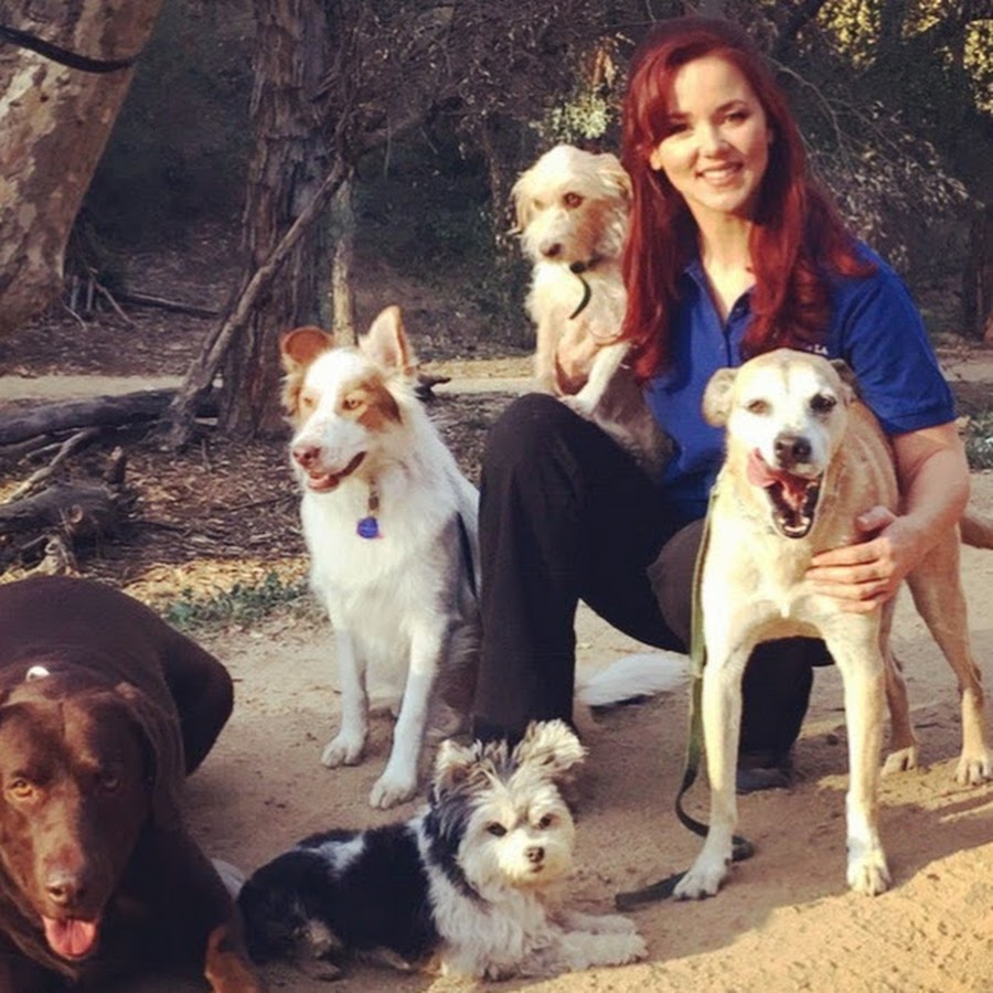 Ruff Beginnings Rehab Dog Training and Rescue YouTube