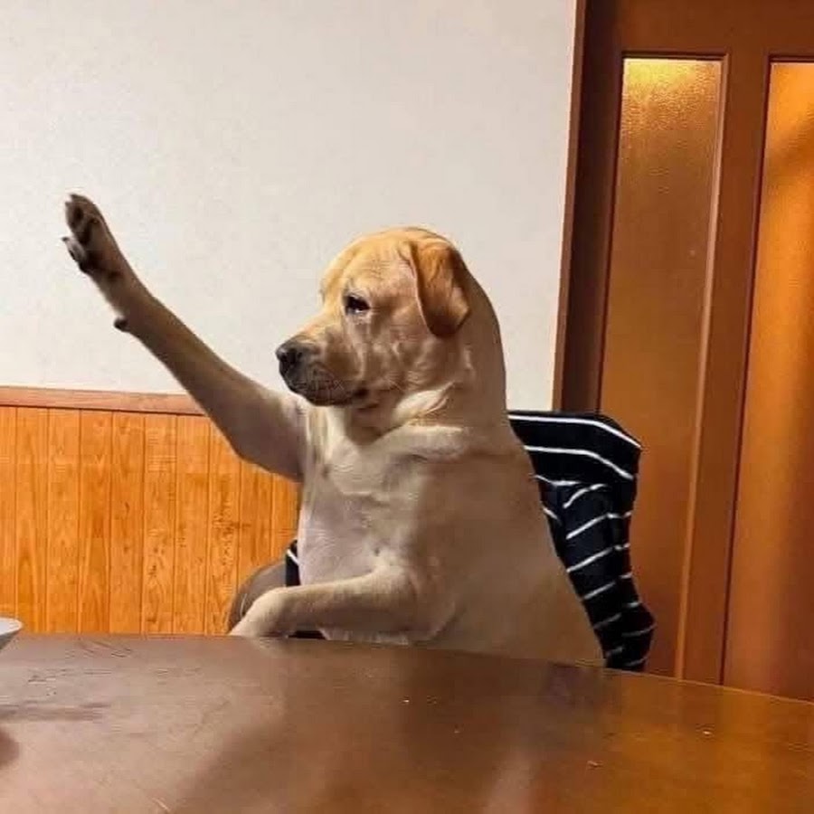 NGAPAK TOTAL YouTube