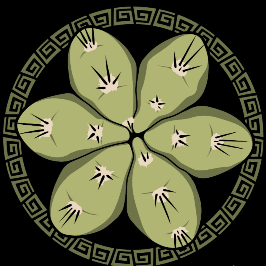 Mallacht�s Plants YouTube