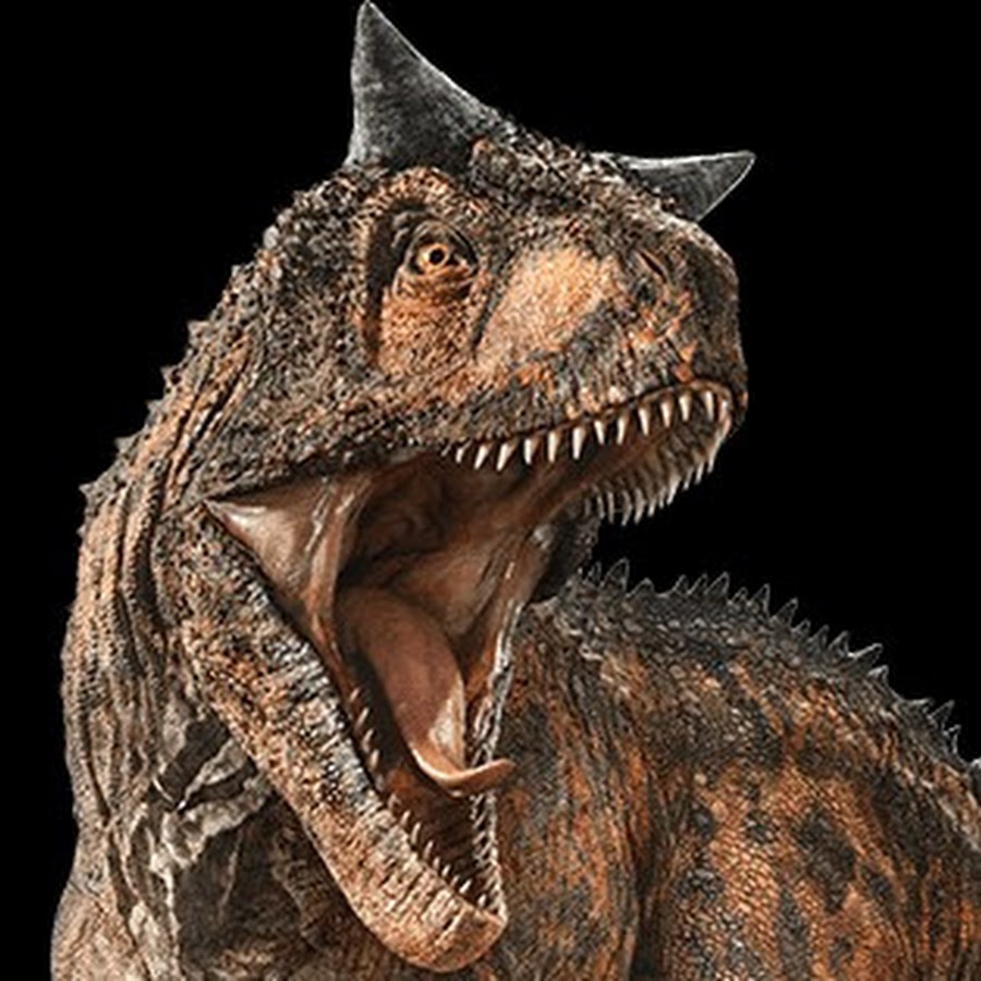 Toast the Carno - YouTube