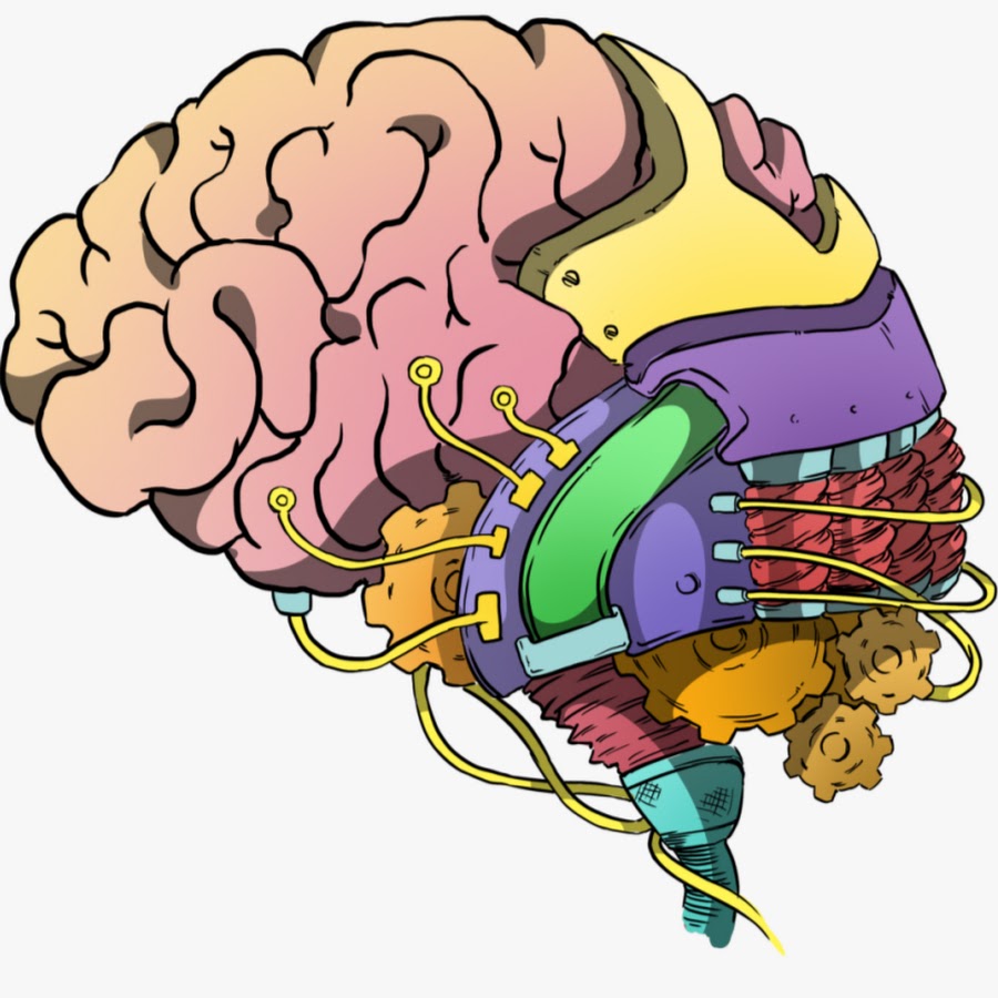 Мозг арты