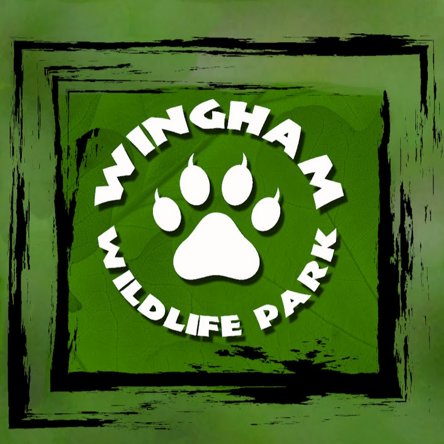 Wingham Wildlife Park YouTube