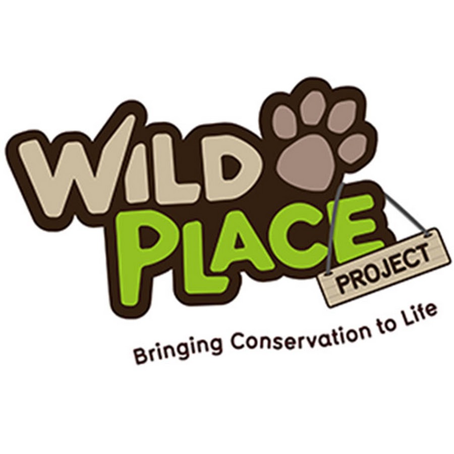 The Wild Place Project YouTube