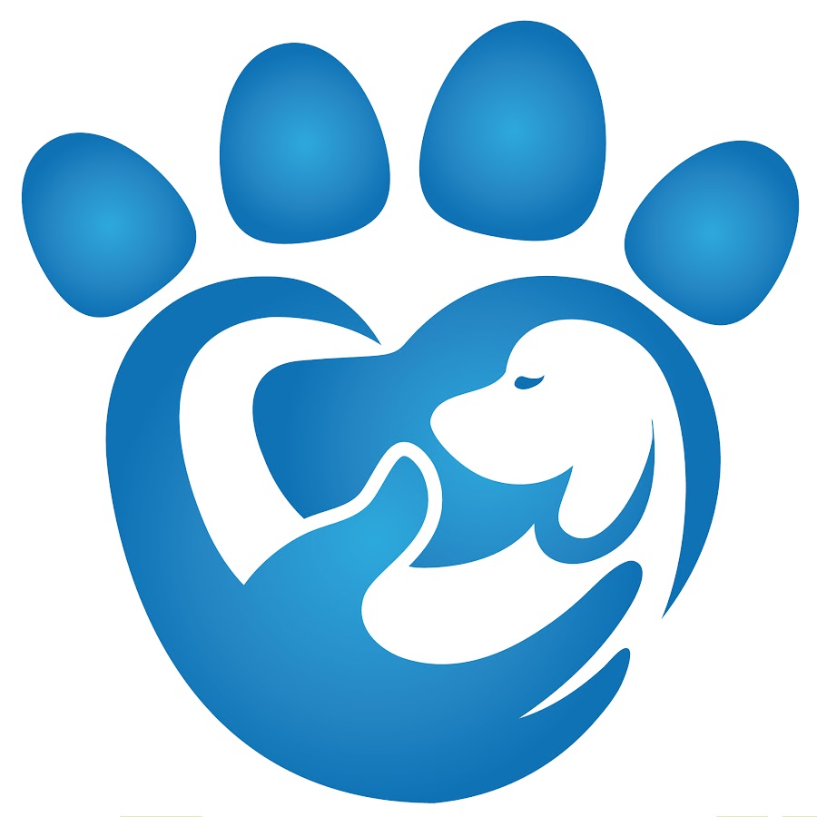 Hands Paws and Hearts YouTube