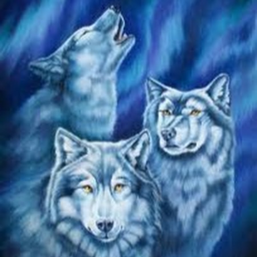 Blue Wolf Clan Youtube