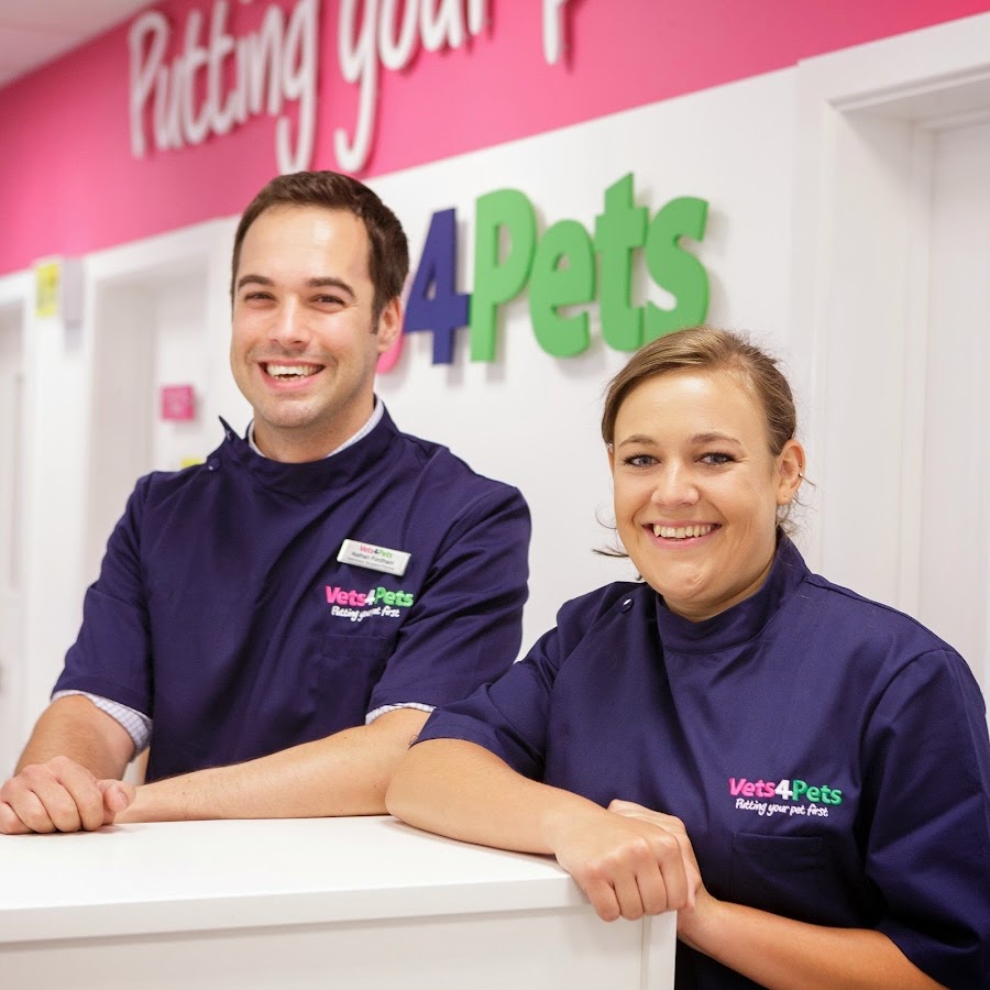 Vets4Pets Altrincham YouTube