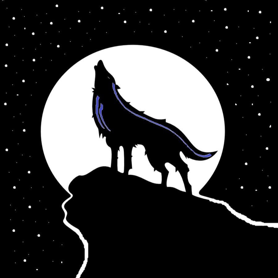 Волк воет на луну картинка черно белая