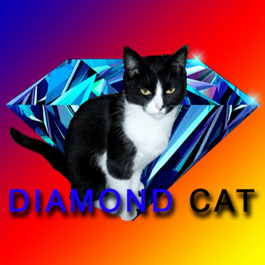 Diamond Cat - YouTube
