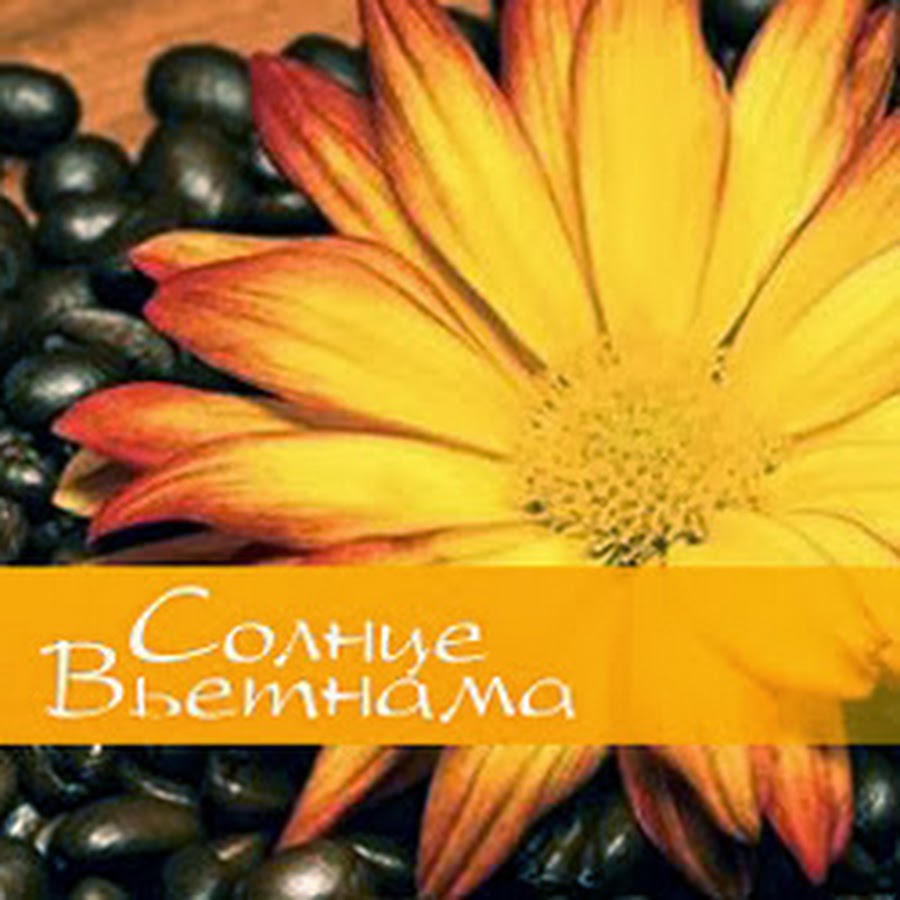 Солнце Вьетнама Интернет Магазин Чая И Кофе