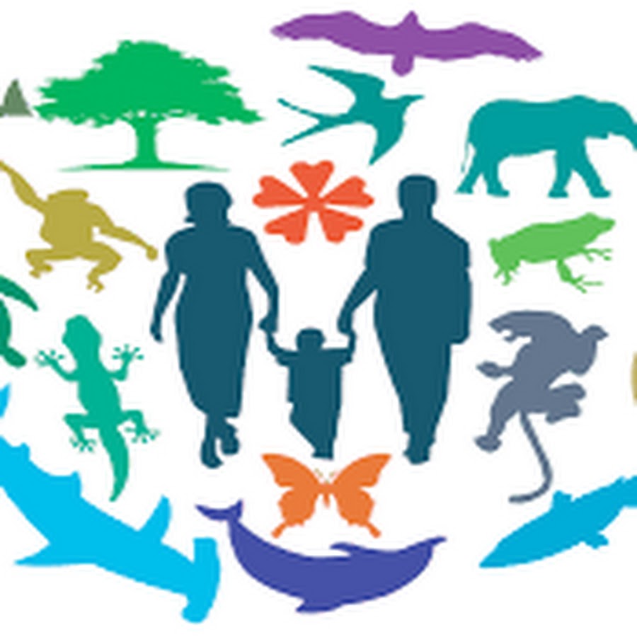 Разнообразие. Биологическое разнообразие. Силуэт людей вокруг земного шара. Международный день биологического разнообразия. Рисунок разнообразие.