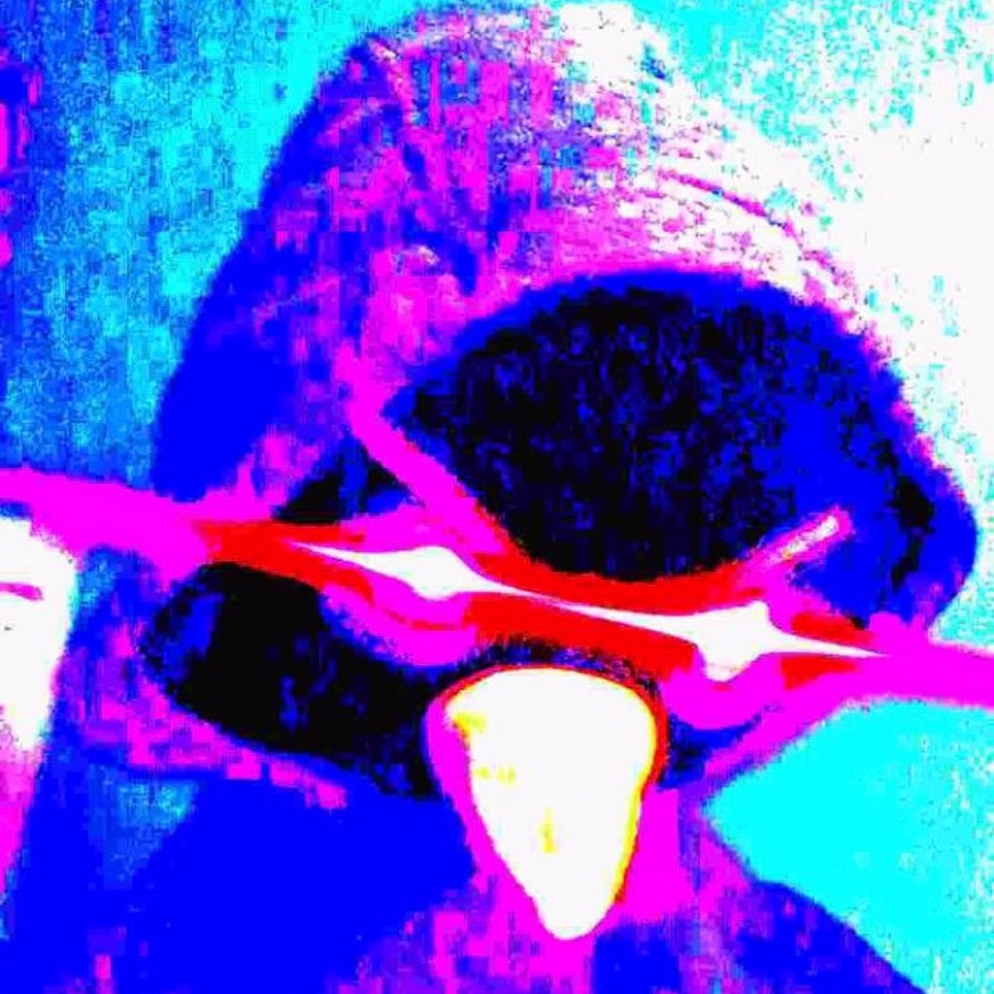 That Bird Guy You See On Tik Tok YouTube