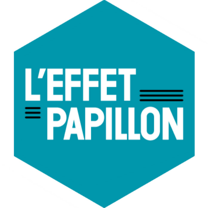 L'Effet Papillon Net Worth & Earnings (2023)