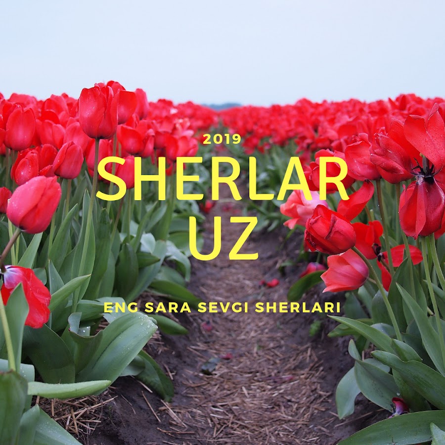 Чиройли шерлар. Шерлар. Севги шерлар. Bahor sherlar. Афоризм расмлар.