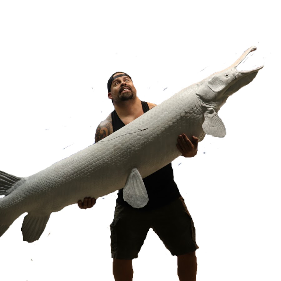 Predatory Fins BRASIL YouTube