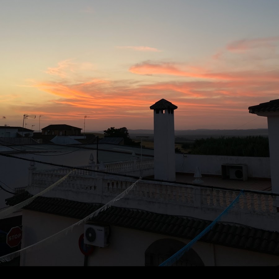 like lion team - YouTube