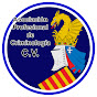 Apcv Criminologia CV
