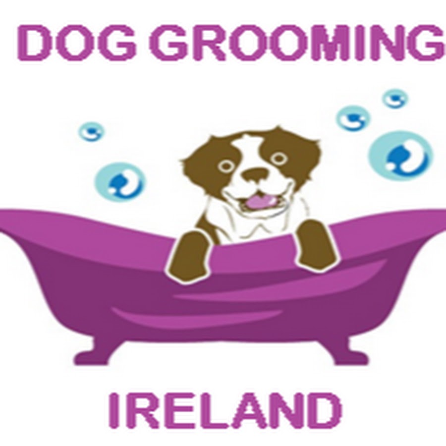 Dog Grooming Ireland - YouTube