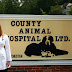 how animal hospital