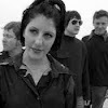 thehighviolets