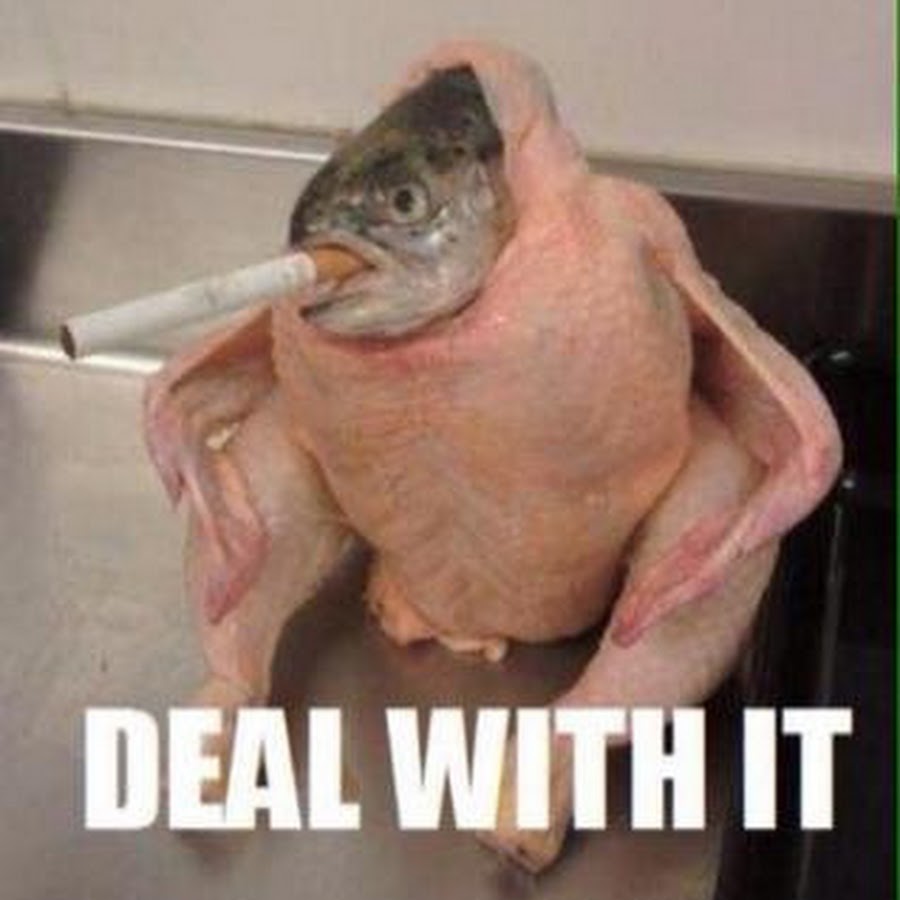 A smoking ChickenFish YouTube